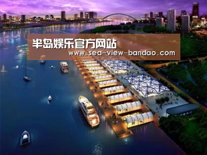 案例展示八