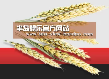 半岛娱乐官方网站