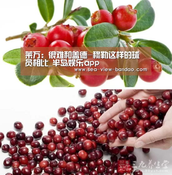 半岛娱乐官网
