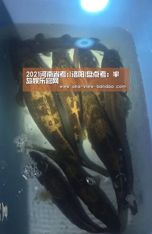 半岛娱乐app